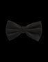 Pure Silk Bow Tie